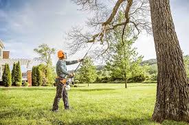 Best Hazardous Tree Removal  in Tarpon Springs, FL